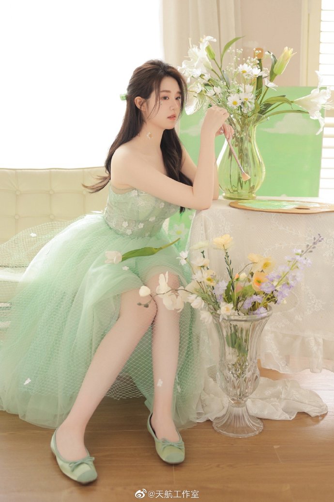 绿皮书